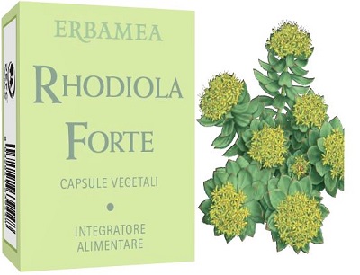 RHODIOLA FORTE 24 CAPSULE - Farma Nice