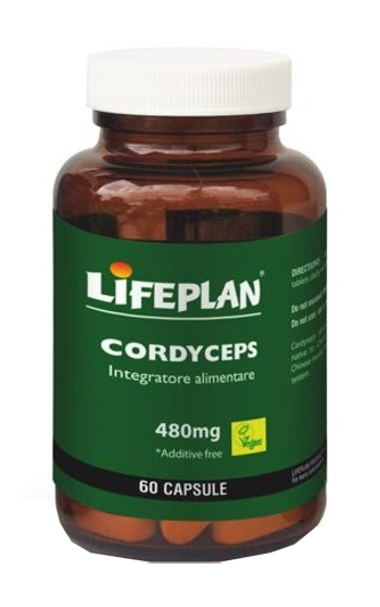 CORDYCEPS 60 CAPSULE - Farma Nice