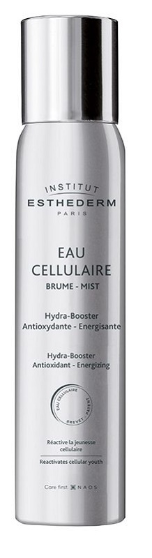 INSTI EAU CELLULAIRE BRUME 100 ML - Farma Nice