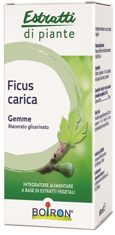 FICUS CARICA BOIRON MACERATO GLICERICO 60 ML - Farma Nice