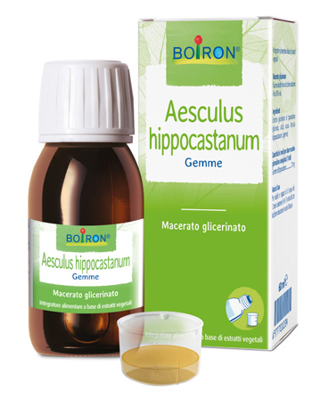 AESCULUS HIPP BOIRON MACERATO GLICERICO 60 ML - Farma Nice