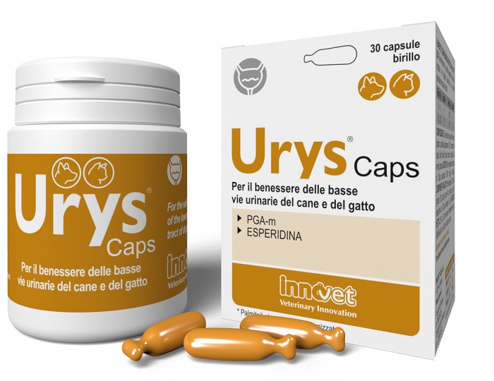 URYS CAPS 30 CAPSULE - Farma Nice