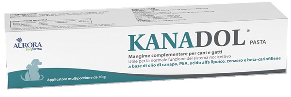KANADOL PASTA 30 G - Farma Nice