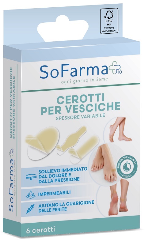 CEROTTO VESCICA ASSORTITI 6 PEZZI SOFARMAPIU' - Farma Nice