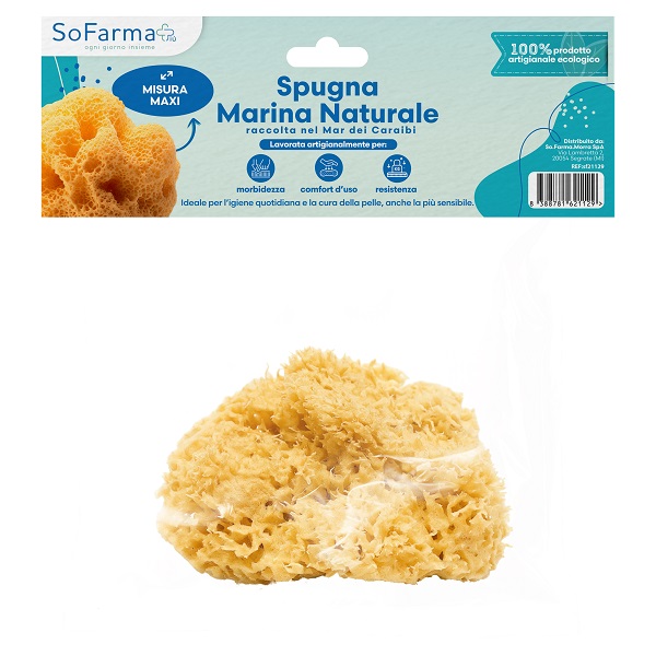 SPUGNA MARINA NATURALE MAXI SOFARMAPIU' - Farma Nice